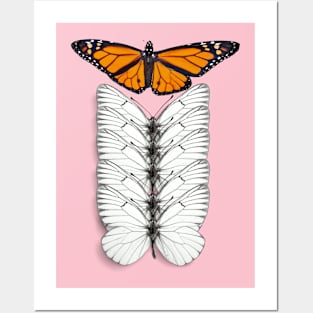 Butterfly Posters and Art